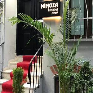 Mimoza Istiklal Istanbul